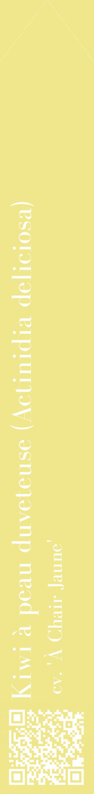 Étiquette de : Actinidia deliciosa cv. 'À Chair Jaune' - format c - style blanche20_simplebod avec qrcode et comestibilité