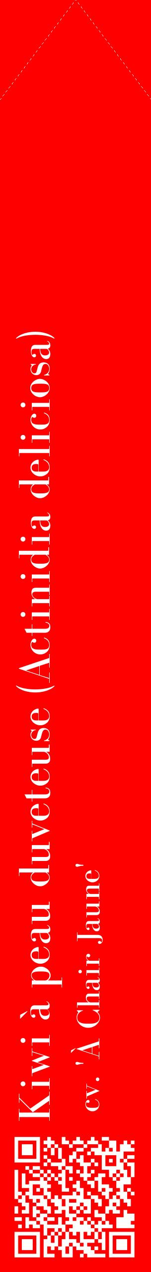 Étiquette de : Actinidia deliciosa cv. 'À Chair Jaune' - format c - style blanche27_simplebod avec qrcode et comestibilité