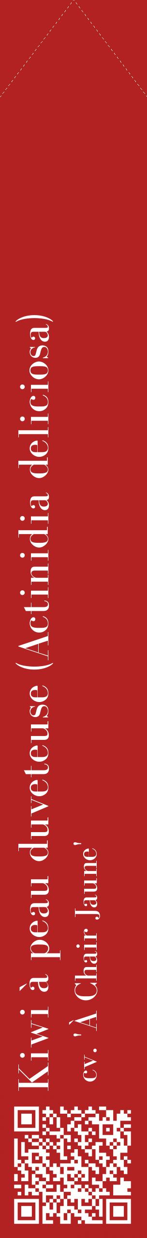 Étiquette de : Actinidia deliciosa cv. 'À Chair Jaune' - format c - style blanche28_simplebod avec qrcode et comestibilité