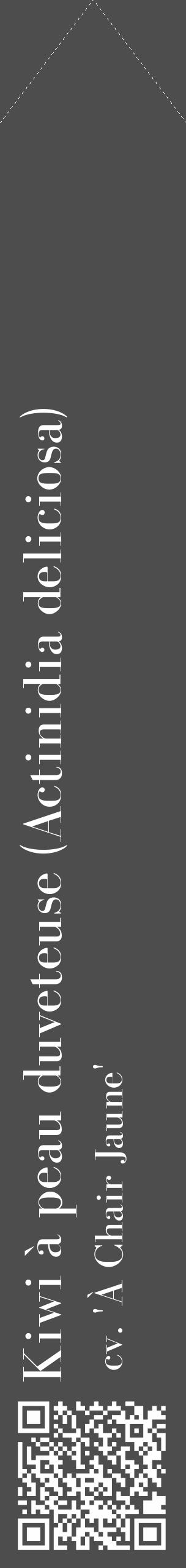 Étiquette de : Actinidia deliciosa cv. 'À Chair Jaune' - format c - style blanche28_simple_simplebod avec qrcode et comestibilité - position verticale