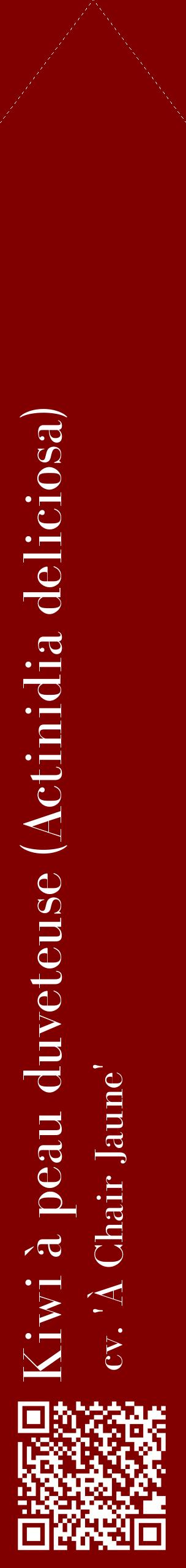 Étiquette de : Actinidia deliciosa cv. 'À Chair Jaune' - format c - style blanche29_simplebod avec qrcode et comestibilité