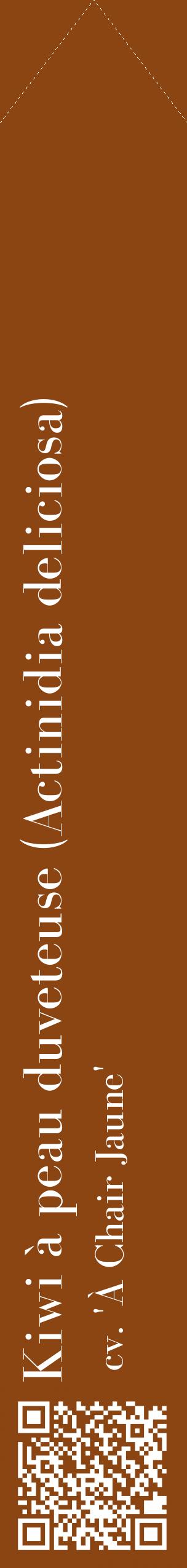 Étiquette de : Actinidia deliciosa cv. 'À Chair Jaune' - format c - style blanche30_simplebod avec qrcode et comestibilité