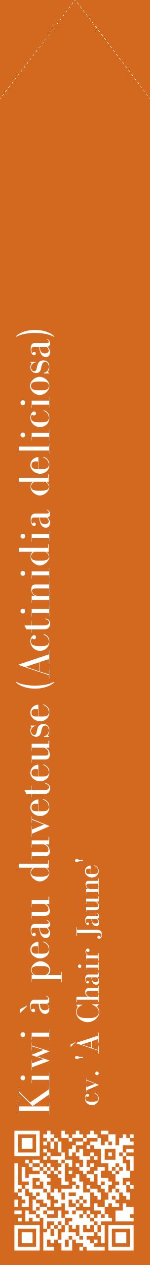 Étiquette de : Actinidia deliciosa cv. 'À Chair Jaune' - format c - style blanche31_simplebod avec qrcode et comestibilité