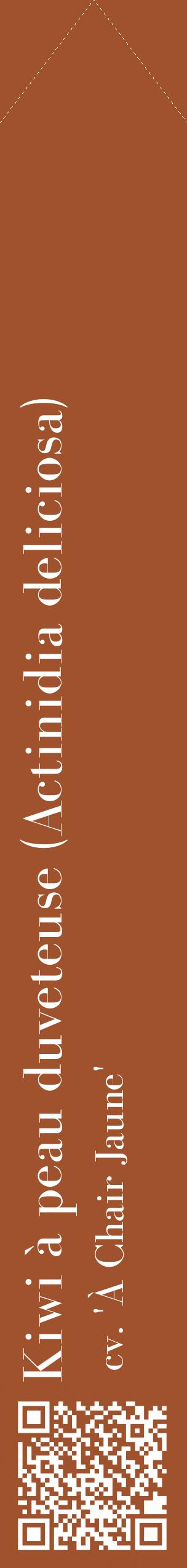 Étiquette de : Actinidia deliciosa cv. 'À Chair Jaune' - format c - style blanche32_simplebod avec qrcode et comestibilité
