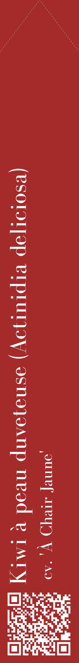 Étiquette de : Actinidia deliciosa cv. 'À Chair Jaune' - format c - style blanche33_simplebod avec qrcode et comestibilité