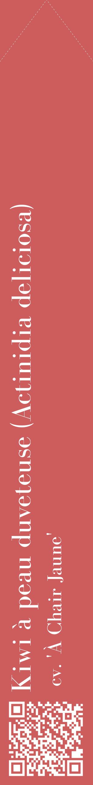 Étiquette de : Actinidia deliciosa cv. 'À Chair Jaune' - format c - style blanche35_simplebod avec qrcode et comestibilité