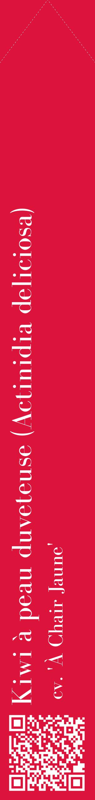 Étiquette de : Actinidia deliciosa cv. 'À Chair Jaune' - format c - style blanche36_simplebod avec qrcode et comestibilité
