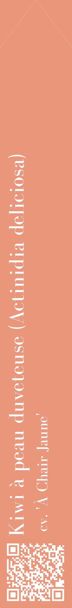 Étiquette de : Actinidia deliciosa cv. 'À Chair Jaune' - format c - style blanche37_simplebod avec qrcode et comestibilité