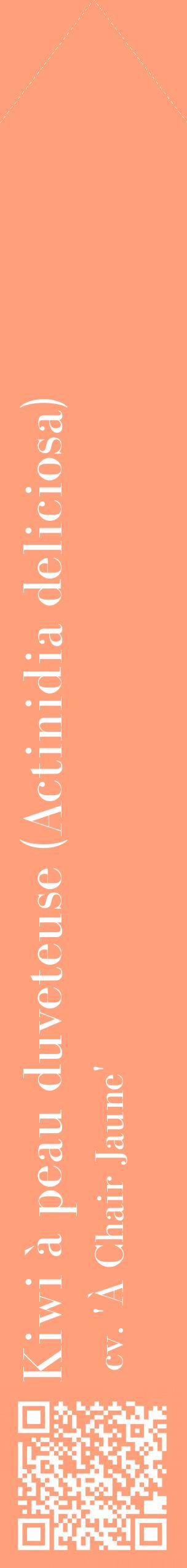 Étiquette de : Actinidia deliciosa cv. 'À Chair Jaune' - format c - style blanche39_simplebod avec qrcode et comestibilité