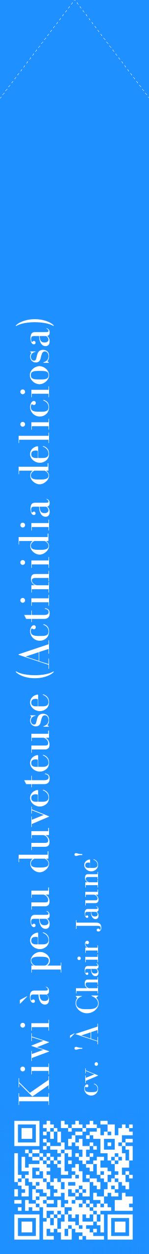 Étiquette de : Actinidia deliciosa cv. 'À Chair Jaune' - format c - style blanche3_simplebod avec qrcode et comestibilité