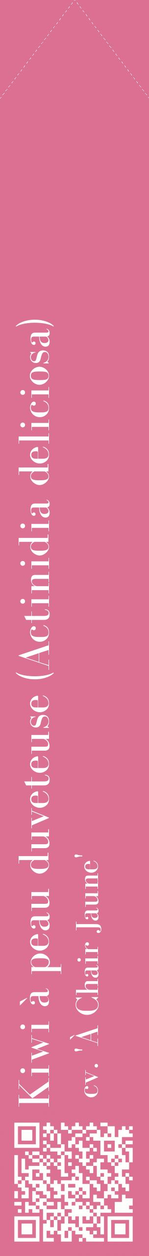 Étiquette de : Actinidia deliciosa cv. 'À Chair Jaune' - format c - style blanche44_simplebod avec qrcode et comestibilité