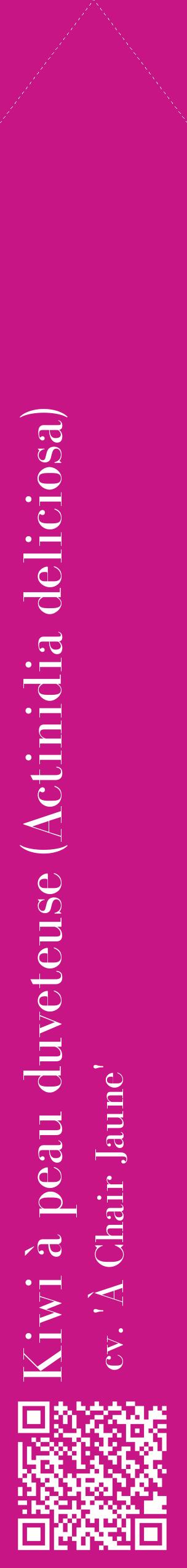 Étiquette de : Actinidia deliciosa cv. 'À Chair Jaune' - format c - style blanche45_simplebod avec qrcode et comestibilité