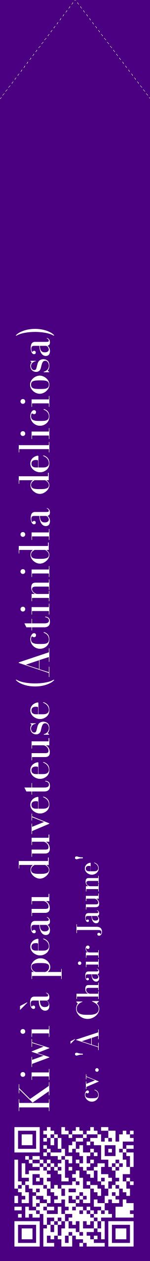 Étiquette de : Actinidia deliciosa cv. 'À Chair Jaune' - format c - style blanche47_simplebod avec qrcode et comestibilité