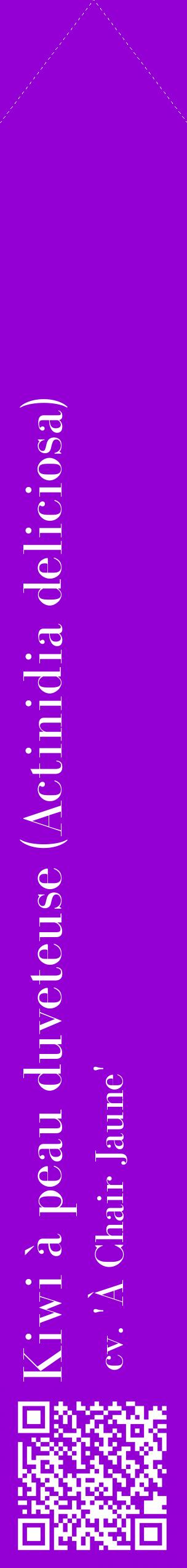 Étiquette de : Actinidia deliciosa cv. 'À Chair Jaune' - format c - style blanche48_simplebod avec qrcode et comestibilité