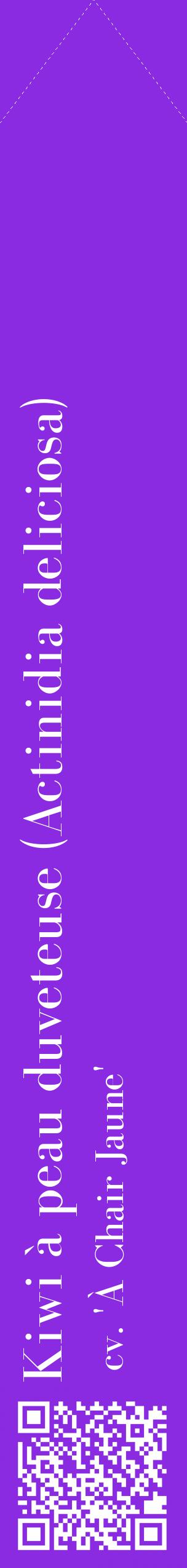 Étiquette de : Actinidia deliciosa cv. 'À Chair Jaune' - format c - style blanche49_simplebod avec qrcode et comestibilité