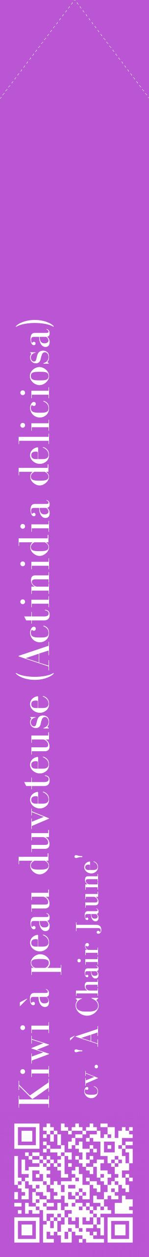 Étiquette de : Actinidia deliciosa cv. 'À Chair Jaune' - format c - style blanche50_simplebod avec qrcode et comestibilité