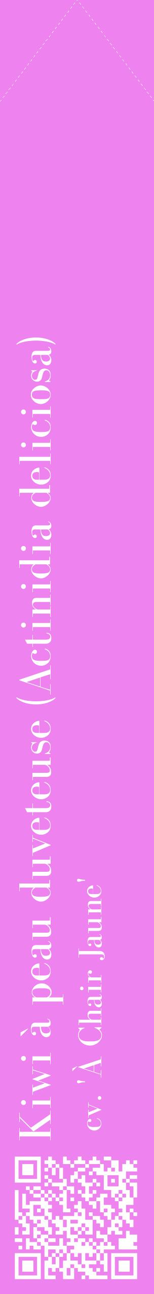 Étiquette de : Actinidia deliciosa cv. 'À Chair Jaune' - format c - style blanche53_simplebod avec qrcode et comestibilité