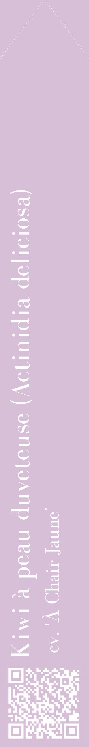 Étiquette de : Actinidia deliciosa cv. 'À Chair Jaune' - format c - style blanche54_simplebod avec qrcode et comestibilité