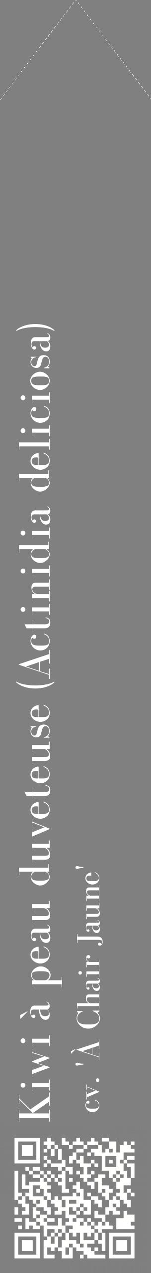 Étiquette de : Actinidia deliciosa cv. 'À Chair Jaune' - format c - style blanche57_simplebod avec qrcode et comestibilité