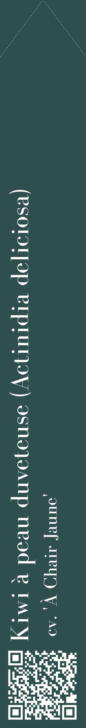 Étiquette de : Actinidia deliciosa cv. 'À Chair Jaune' - format c - style blanche58_simplebod avec qrcode et comestibilité
