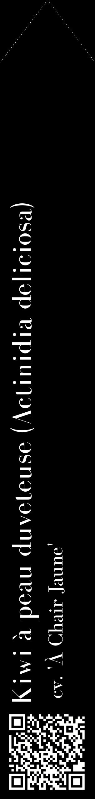 Étiquette de : Actinidia deliciosa cv. 'À Chair Jaune' - format c - style blanche59_simplebod avec qrcode et comestibilité