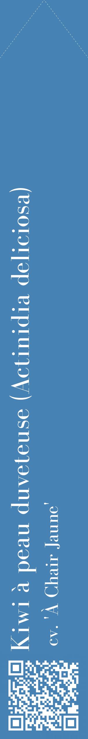 Étiquette de : Actinidia deliciosa cv. 'À Chair Jaune' - format c - style blanche5_simplebod avec qrcode et comestibilité