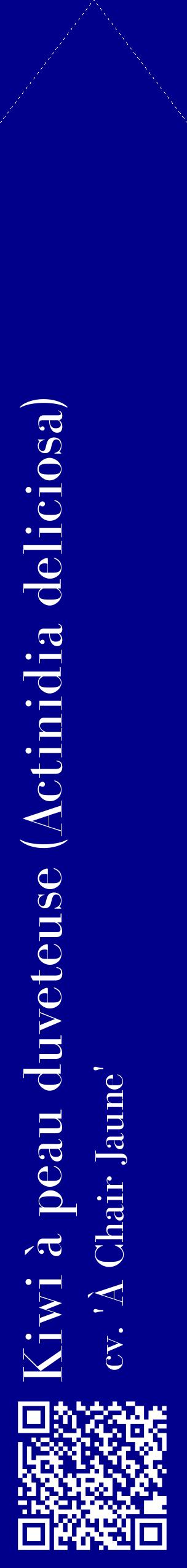 Étiquette de : Actinidia deliciosa cv. 'À Chair Jaune' - format c - style blanche7_simplebod avec qrcode et comestibilité