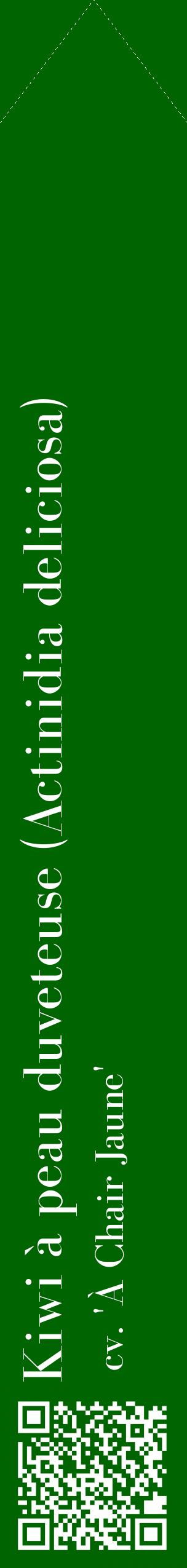 Étiquette de : Actinidia deliciosa cv. 'À Chair Jaune' - format c - style blanche8_simplebod avec qrcode et comestibilité