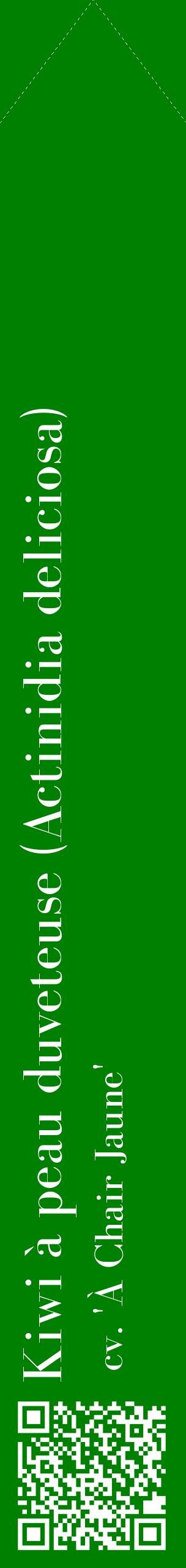 Étiquette de : Actinidia deliciosa cv. 'À Chair Jaune' - format c - style blanche9_simplebod avec qrcode et comestibilité