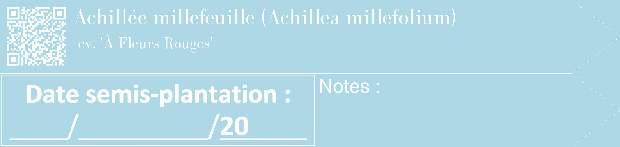 Étiquette de : Achillea millefolium cv. 'À Fleurs Rouges' - format c - style blanche0_simple_simplebod avec qrcode et comestibilité