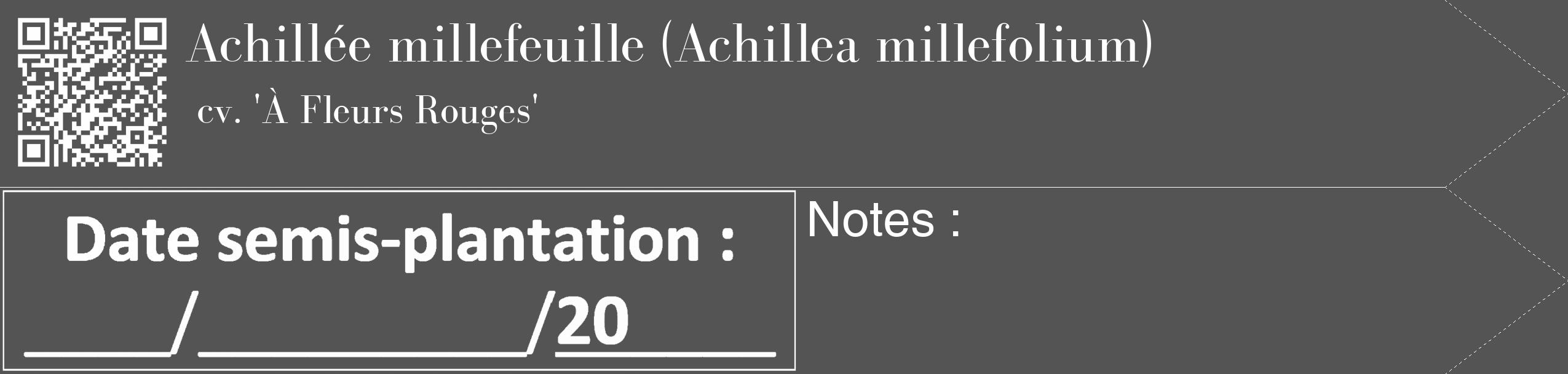 Étiquette de : Achillea millefolium cv. 'À Fleurs Rouges' - format c - style blanche30_simple_simplebod avec qrcode et comestibilité