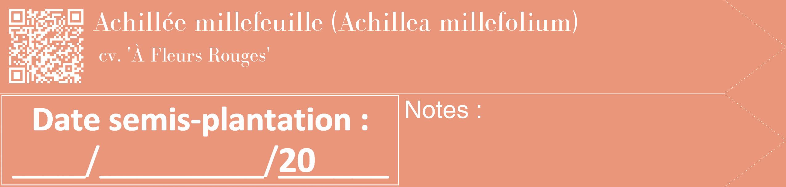 Étiquette de : Achillea millefolium cv. 'À Fleurs Rouges' - format c - style blanche37_simple_simplebod avec qrcode et comestibilité