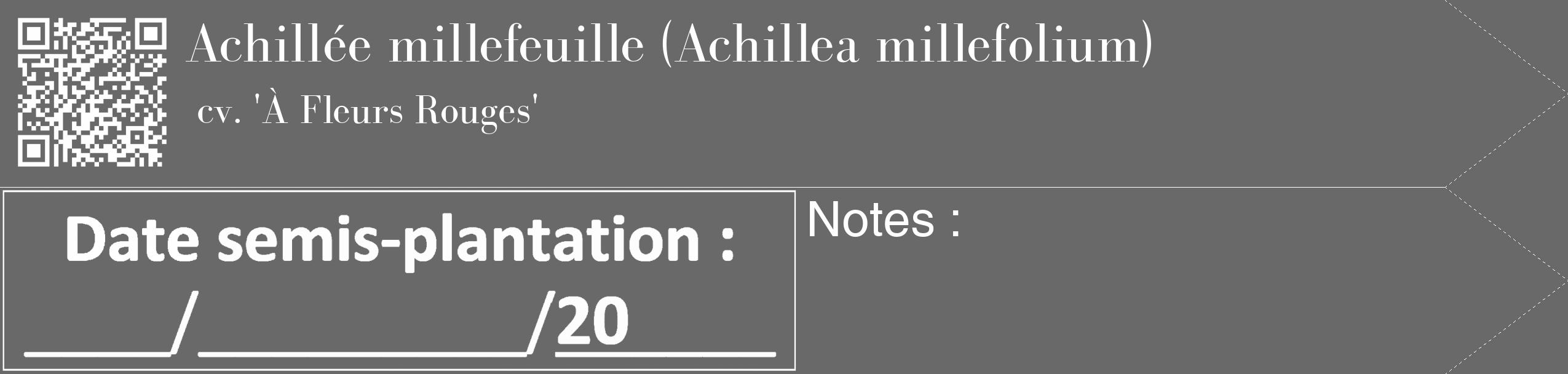 Étiquette de : Achillea millefolium cv. 'À Fleurs Rouges' - format c - style blanche51_simple_simplebod avec qrcode et comestibilité