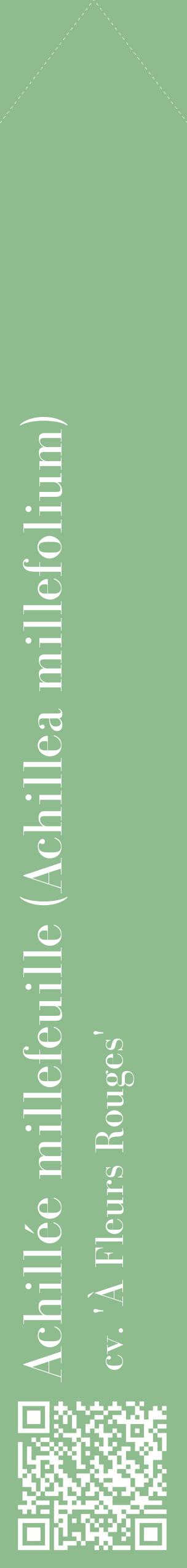 Étiquette de : Achillea millefolium cv. 'À Fleurs Rouges' - format c - style blanche13_simplebod avec qrcode et comestibilité
