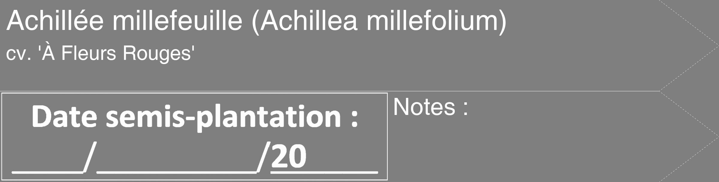 Étiquette de : Achillea millefolium cv. 'À Fleurs Rouges' - format c - style blanche31_simple_simplehel avec comestibilité