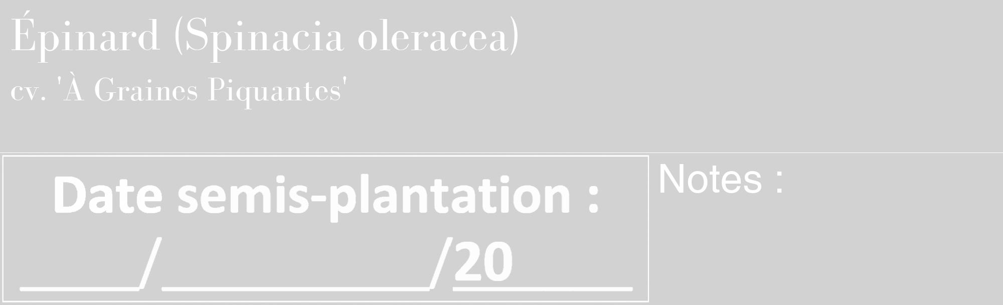 Étiquette de : Spinacia oleracea cv. 'À Graines Piquantes' - format c - style blanche14_basique_basiquebod avec comestibilité