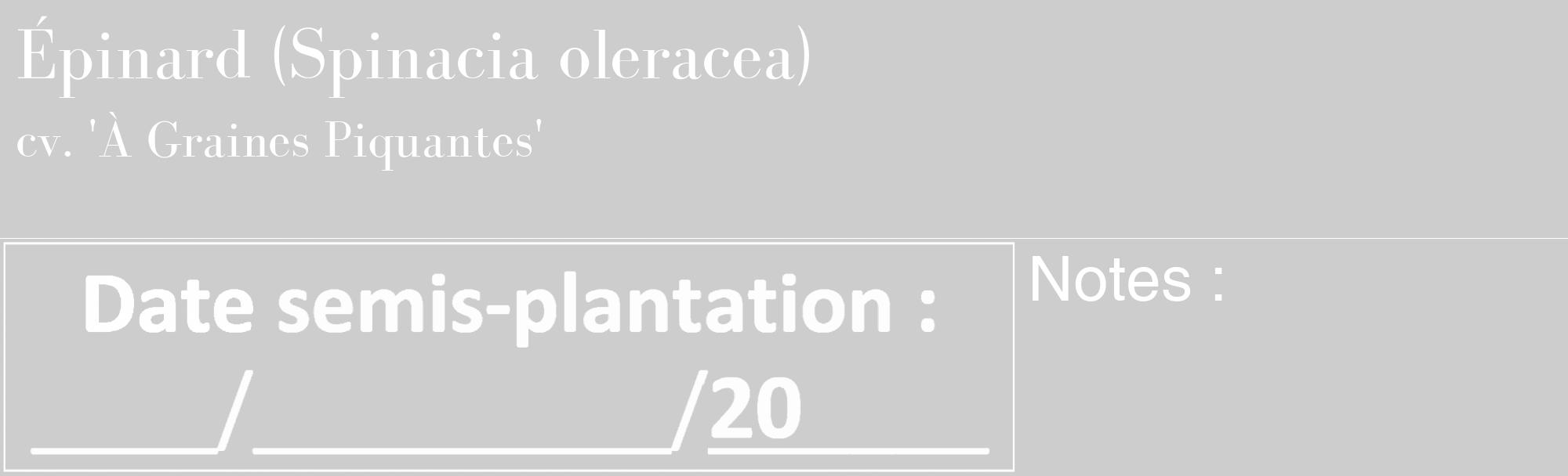 Étiquette de : Spinacia oleracea cv. 'À Graines Piquantes' - format c - style blanche41_basique_basiquebod avec comestibilité