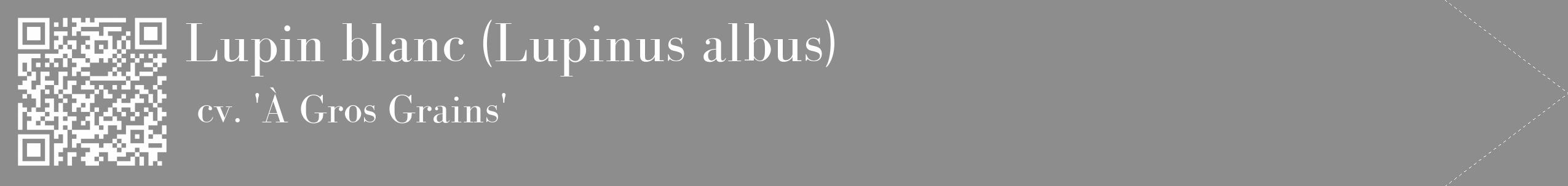Étiquette de : Lupinus albus cv. 'À Gros Grains' - format c - style blanche2_simple_simplebod avec qrcode et comestibilité