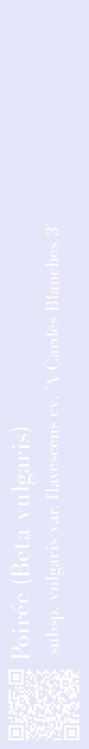 Étiquette de : Beta vulgaris subsp. vulgaris var. flavescens cv. 'A Cardes Blanches 3' - format c - style blanche55_simplebod avec qrcode et comestibilité