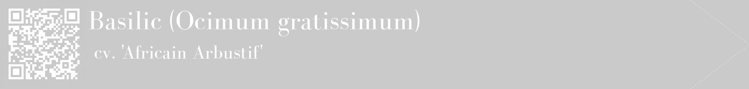 Étiquette de : Ocimum gratissimum cv. 'Africain Arbustif' - format c - style blanche21_simple_simplebod avec qrcode et comestibilité