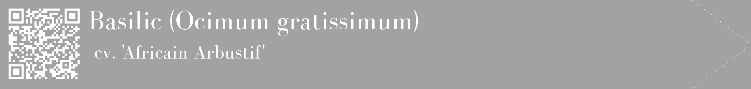 Étiquette de : Ocimum gratissimum cv. 'Africain Arbustif' - format c - style blanche38_simple_simplebod avec qrcode et comestibilité
