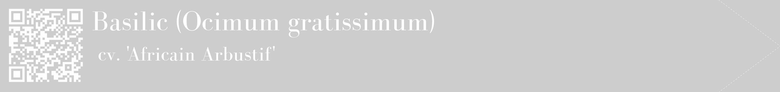 Étiquette de : Ocimum gratissimum cv. 'Africain Arbustif' - format c - style blanche41_simple_simplebod avec qrcode et comestibilité