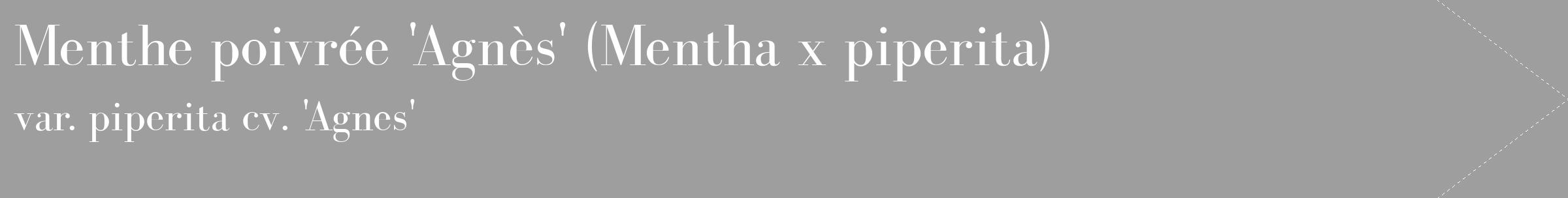 Étiquette de : Mentha x piperita var. piperita cv. 'Agnes' - format c - style blanche23_simple_simplebod avec comestibilité
