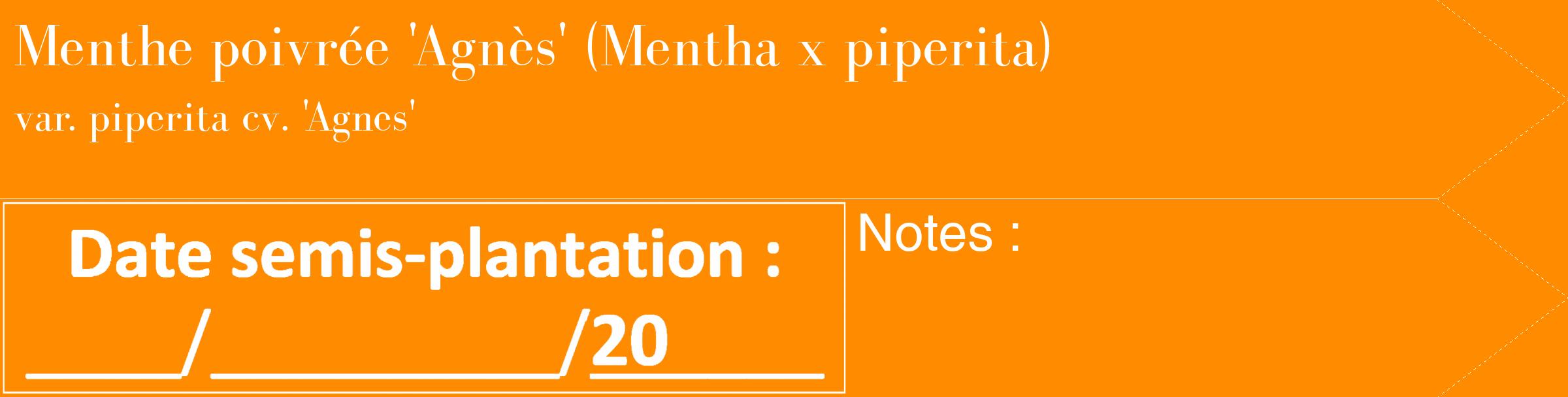 Étiquette de : Mentha x piperita var. piperita cv. 'Agnes' - format c - style blanche23_simple_simplebod avec comestibilité
