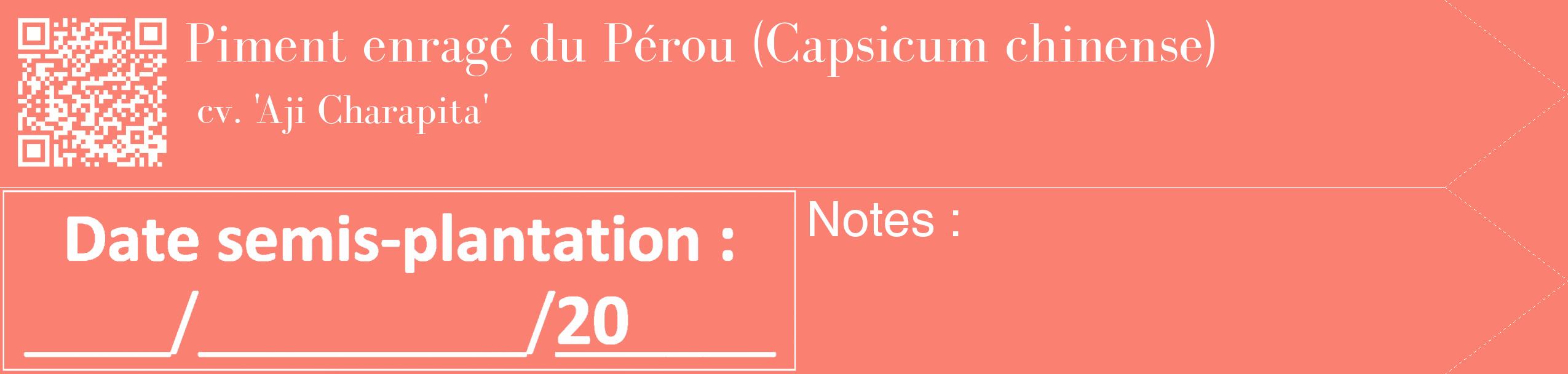 Étiquette de : Capsicum chinense cv. 'Aji Charapita' - format c - style blanche38_simple_simplebod avec qrcode et comestibilité