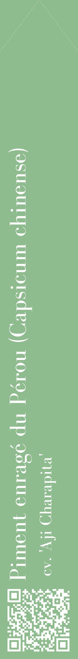 Étiquette de : Capsicum chinense cv. 'Aji Charapita' - format c - style blanche13_simplebod avec qrcode et comestibilité