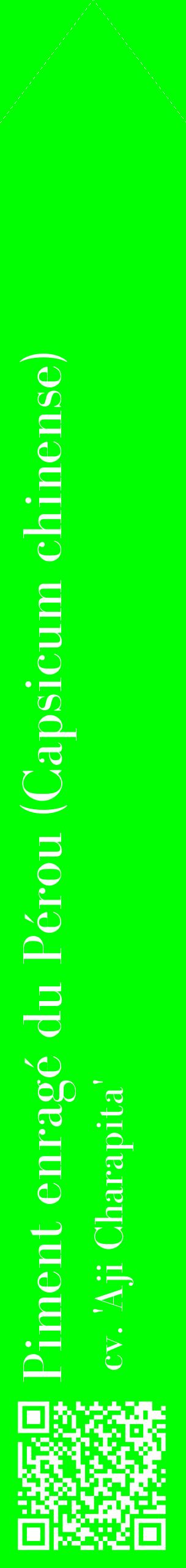 Étiquette de : Capsicum chinense cv. 'Aji Charapita' - format c - style blanche16_simplebod avec qrcode et comestibilité
