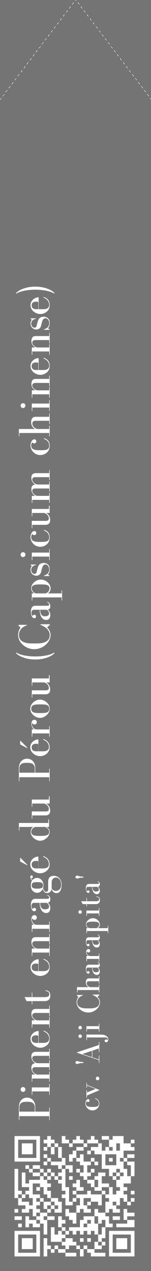 Étiquette de : Capsicum chinense cv. 'Aji Charapita' - format c - style blanche26_simple_simplebod avec qrcode et comestibilité - position verticale
