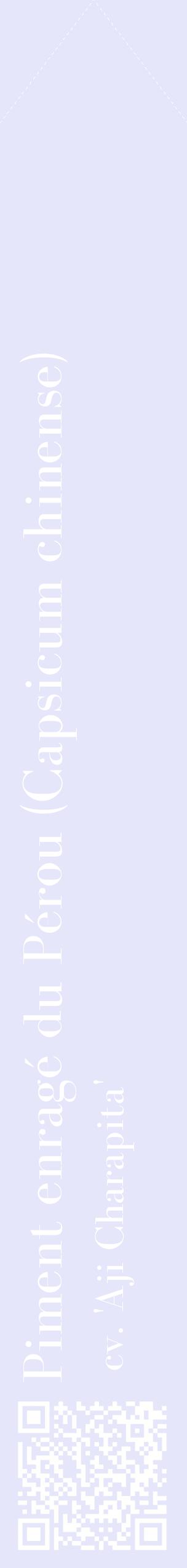 Étiquette de : Capsicum chinense cv. 'Aji Charapita' - format c - style blanche55_simplebod avec qrcode et comestibilité