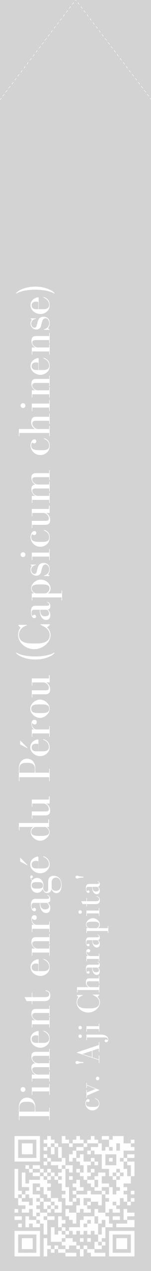 Étiquette de : Capsicum chinense cv. 'Aji Charapita' - format c - style blanche56_simple_simplebod avec qrcode et comestibilité - position verticale